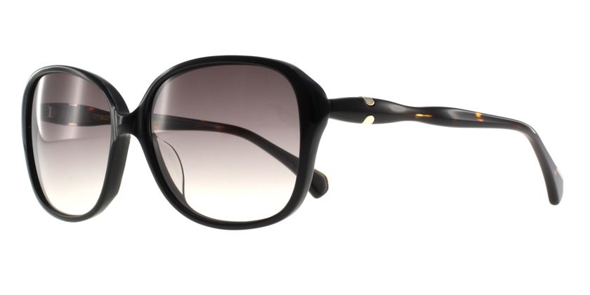 Anson Benson AB2023S001 Sunglasses - 45 Degree View